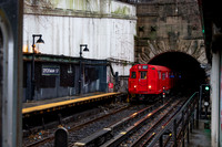 "Surfacing Redbirds at Dyckman"