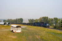 "MRL Stone Extra at Rocky Creek Farm"
