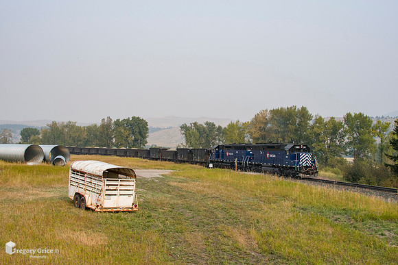 "MRL Stone Extra at Rocky Creek Farm"
