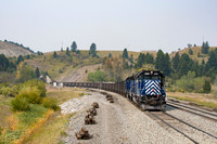"Holding with the Stone Train at Muir"