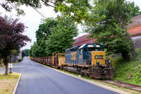 "Rail Train at Tri-Seal"
