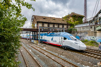 "Avelia Liberty at Westchester Avenue"