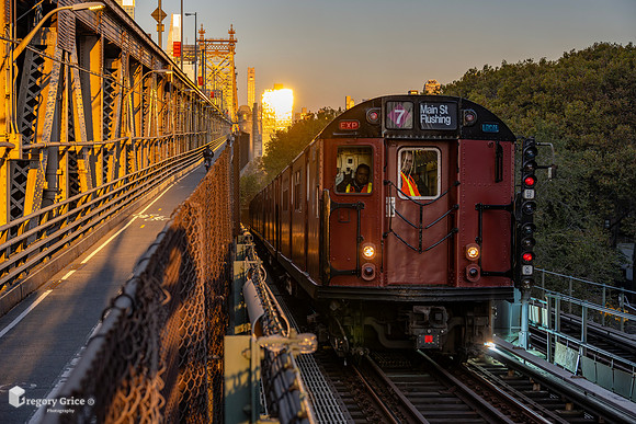 "Redbirds at First Light on the Queensboro"